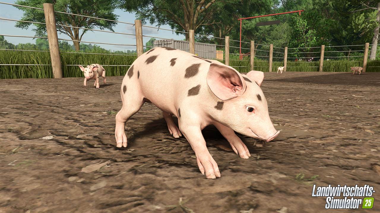 LS25 Mähdrescher bei der Ernte — Landwirtschafts-Simulator 25 Multiplayer Server
